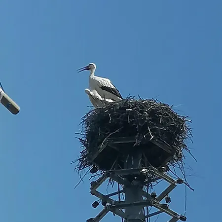 Entre 2 Rives Strasbourg-kehl דירה Kehl