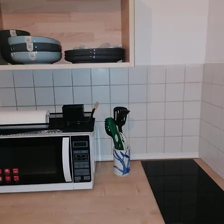 Entre 2 Rives Strasbourg-kehl דירה Kehl