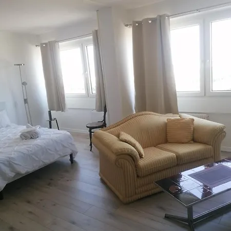 Entre 2 Rives Strasbourg-kehl דירה Kehl