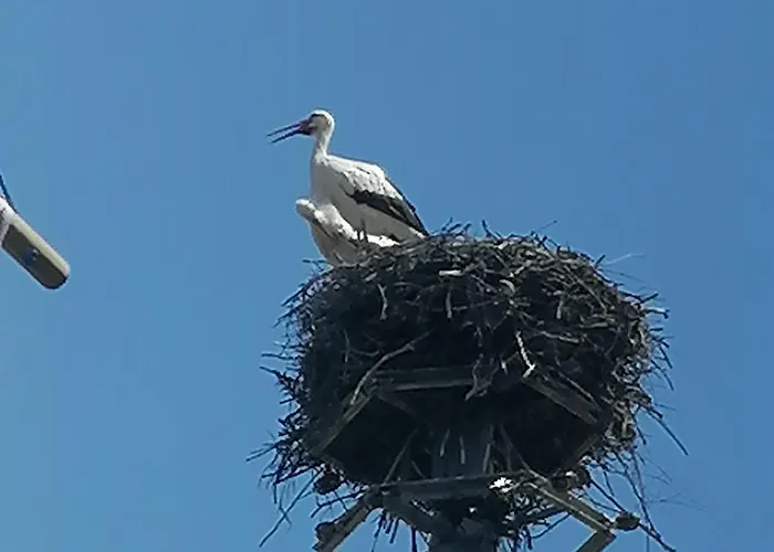 Entre 2 Rives Strasbourg-kehl Appartamento Kehl