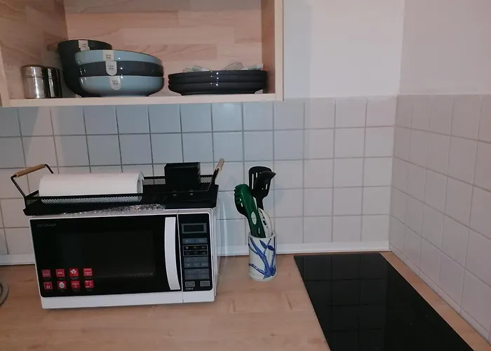 Entre 2 Rives Strasbourg-kehl Appartamento Kehl