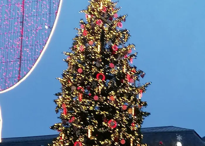 Entre 2 Rives Strasbourg-kehl